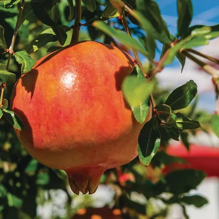 Lejlighed Three-bedroom In Veliki *